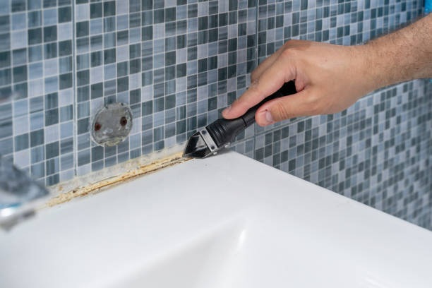 Professional Mold Remediation in New Ellenton, SC